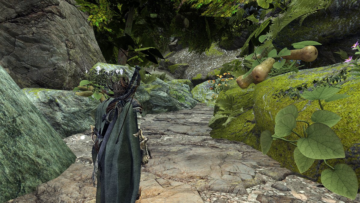 one of the linear path areas in Moonpath to Elsweyr