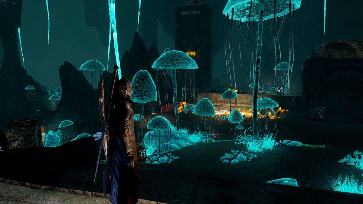 glowing mushrooms in an underground cave