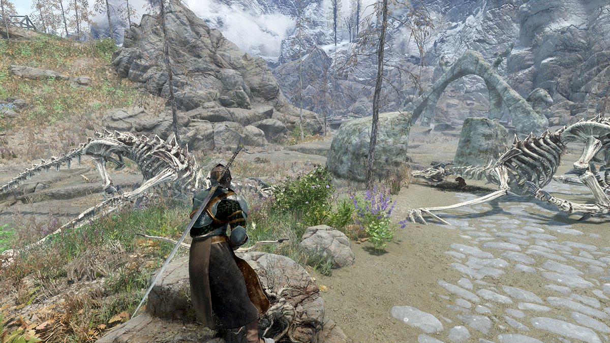 the aftermath of a fight with two dragons